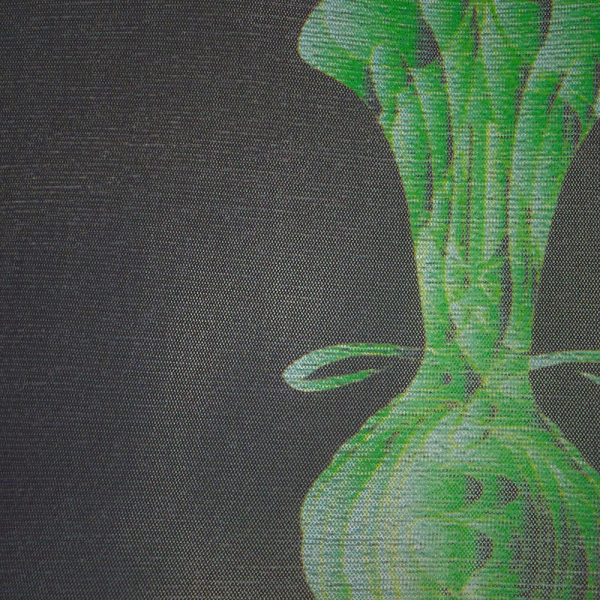 Bralette Skims JELLY SHEER TRIANGLE μαυρα | 2637148-DT