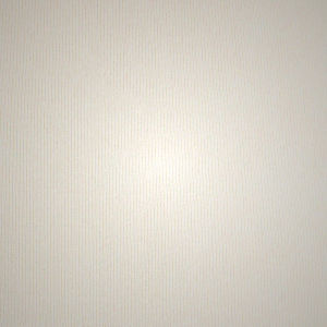 Brief Skims COTTON RIB MID RISE ασπρα | 9730821-JG