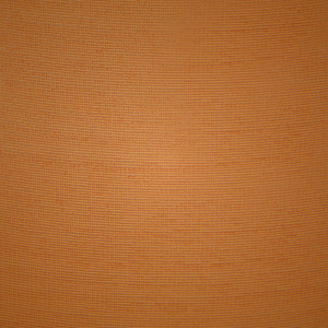 Demi Bra Skims WEIGHTLESS καφε | 7645309-BH