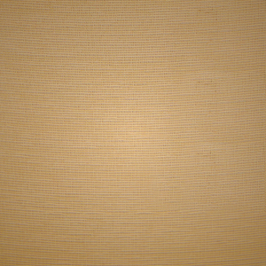 Demi Bra Skims NO SHOW MOLDED UNLINED καφε | 0685734-AL