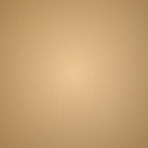 Hipster Skims NAKED CHEEKY καφε | 4953826-TV