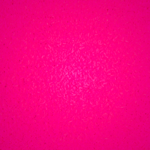 Joggers Skims VELOUR OVERSIZED βαθυ γκρι | 2087439-BE