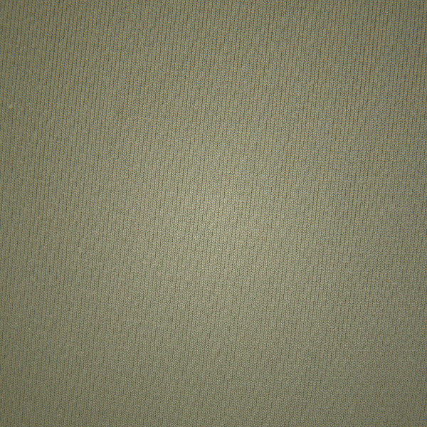 Long Sleeve Bodysuit Skims ESSENTIAL CREW NECK καφε | 9846051-PI