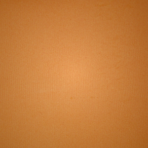 Low Back Bodysuit Skims SEAMLESS SCULPT BODYSUIT βερίκοκο | 0439672-NL