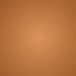 Plunge Bra Skims NAKED TANK Μπεζ | 8163045-OA