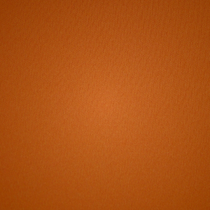 Plunge Bra Skims NAKED TANK σοκολάτα | 6518297-NT