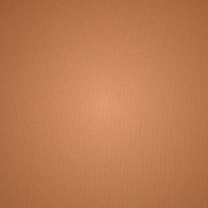 Plunge Bra Skims NAKED TANK μαυρα | 2504893-VH