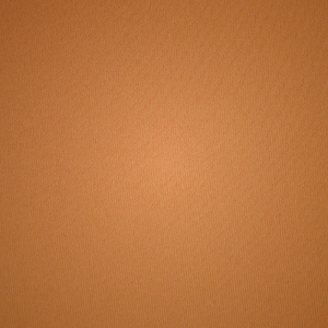 Plunge Bra Skims NAKED TANK σοκολάτα | 6518297-NT