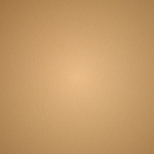 Plunge Bra Skims NAKED TANK μαυρα | 2504893-VH