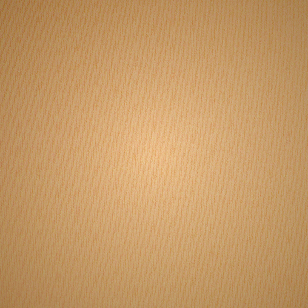 Plunge Bra Skims NAKED TANK μαυρα | 2504893-VH