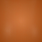 Scoop Neck Bra Skims JELLY SHEER CREW NECK Μπεζ | 0659328-OH