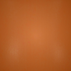 Scoop Neck Bra Skims JELLY SHEER CREW NECK Μπεζ | 0659328-OH