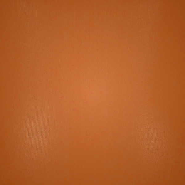 Scoop Neck Bra Skims JELLY SHEER CREW NECK Μπεζ | 0659328-OH