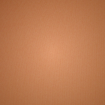 Scoop Neck Bra Skims NAKED TANK Μπεζ | 9856102-TQ