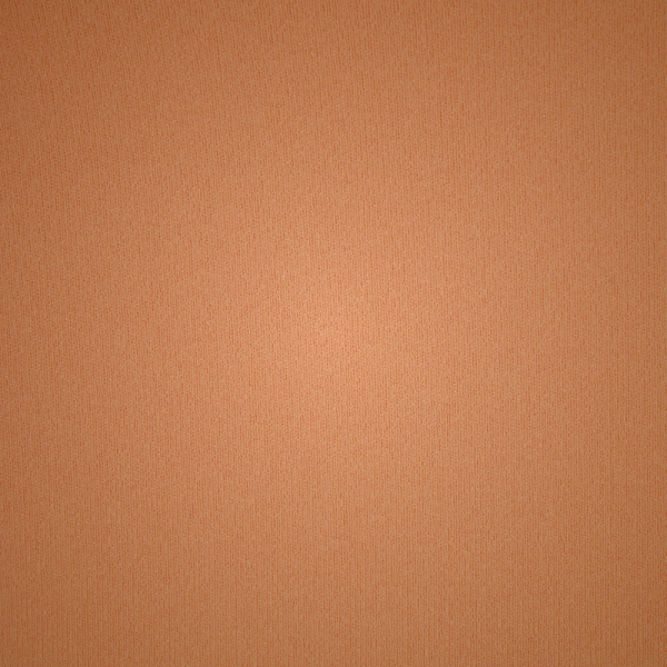 Scoop Neck Bra Skims NAKED TANK Μπεζ | 9856102-TQ