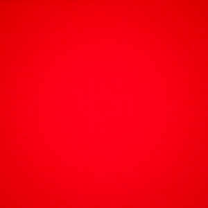 T-shirt Bra Skims COTTON JERSEY κοκκινα | 8201697-PD