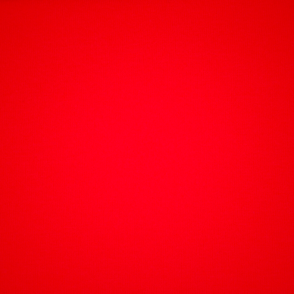 T-shirt Skims COTTON JERSEY SUPER CROPPED μπλε | 5782369-SN