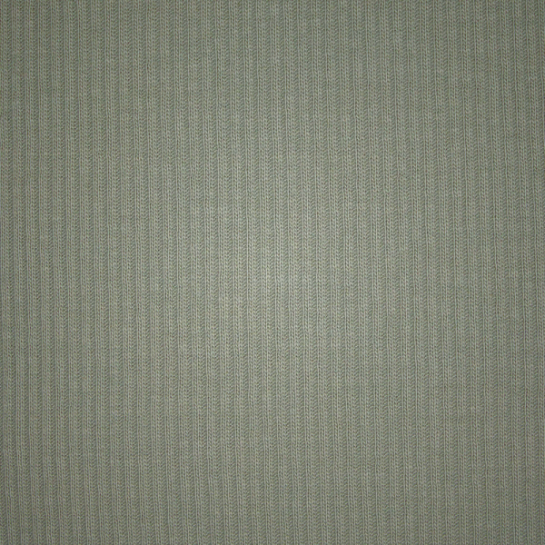 T-shirt Skims FITS EVERYBODY βερίκοκο | 7016593-ON