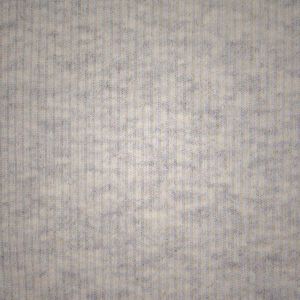 T-shirt Skims NEW VINTAGE CROPPED RAGLAN ασημι | 5209648-HQ