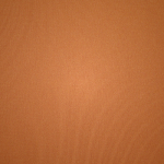 T-shirt Skims FITS EVERYBODY βερίκοκο | 2031897-NX