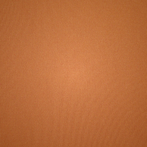 T-shirt Skims FITS EVERYBODY βερίκοκο | 2031897-NX