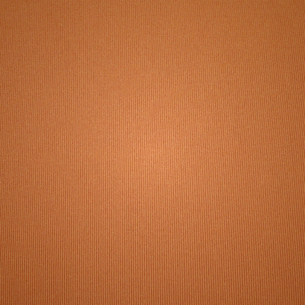 T-shirt Skims FITS EVERYBODY βερίκοκο | 2031897-NX