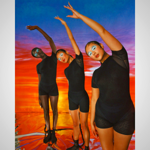 T-shirt Skims NEW VINTAGE SCOOP LONG SLEEVE βαθυ γκρι | 1906728-VJ