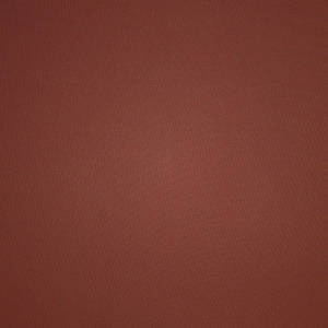 Tanga Skims FREE CUT MID WAIST σκούρο κοκκινα | 3259408-MP