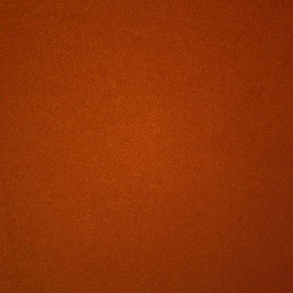 Tanga Skims COTTON JERSEY CHEEKY ασπρα | 7582641-EU