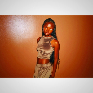 Tank Skims VELOUR CREW NECK γκρι | 4851790-WK