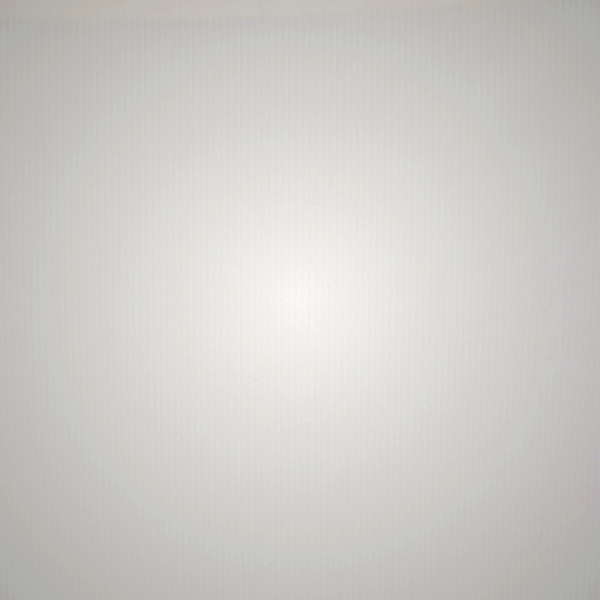 Thong Skims COTTON RIB βαθυ κοκκινα | 6458319-HL