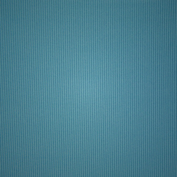 Thong Skims LACE POINTELLE μπλε | 5097483-EY