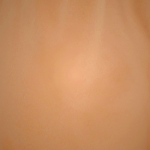 Underwire Bra Skims ULTRA FINE MESH SCOOP ασπρα | 4861520-FN