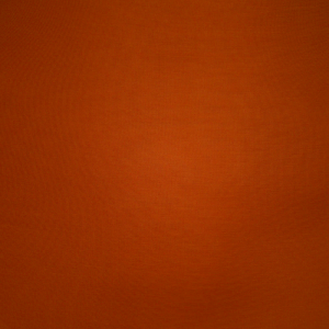 Κολαν Skims BARELY THERE CROPPED καφε | 2546173-ML