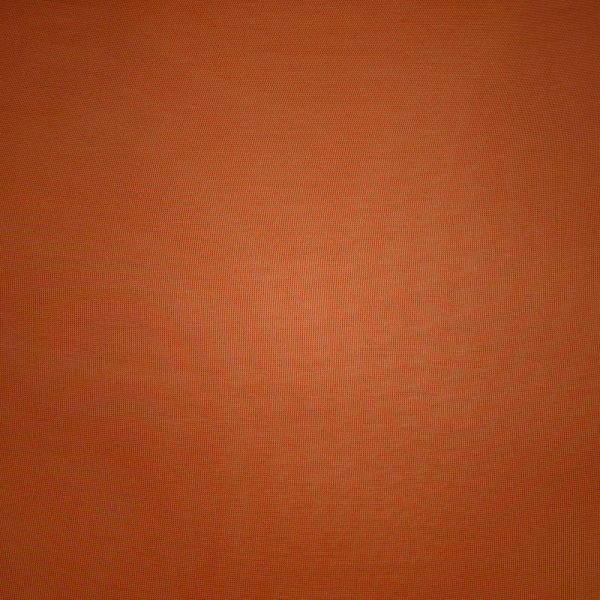 Κολαν Skims BARELY THERE CROPPED βερίκοκο | 1057932-NG