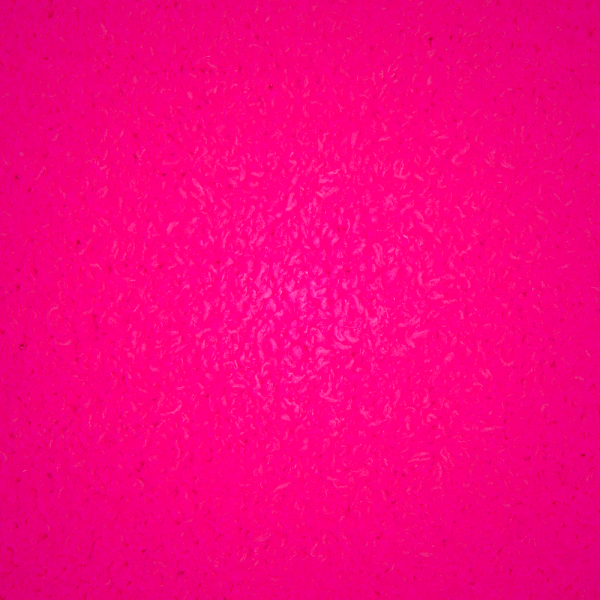 Μπουρνούζι Skims COZY KNIT ασπρα | 9247038-BZ