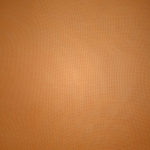 Σορτσ Skims SCULPTING MID THIGH W/ OPEN GUSSET βερίκοκο | 0943127-UK