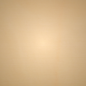 Σορτσ Skims BUTT ENHANCING βερίκοκο | 6301794-SU