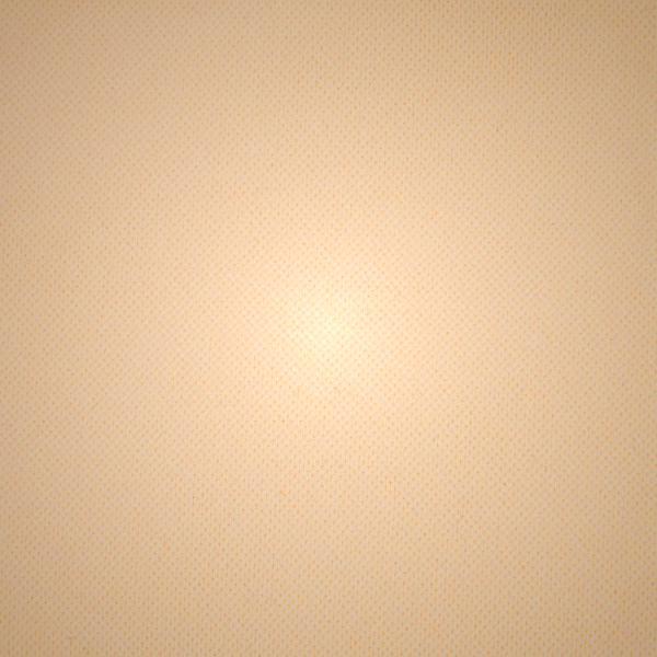 Σορτσ Skims SHEER SCULPT LOW BACK βερίκοκο | 7120839-ZO